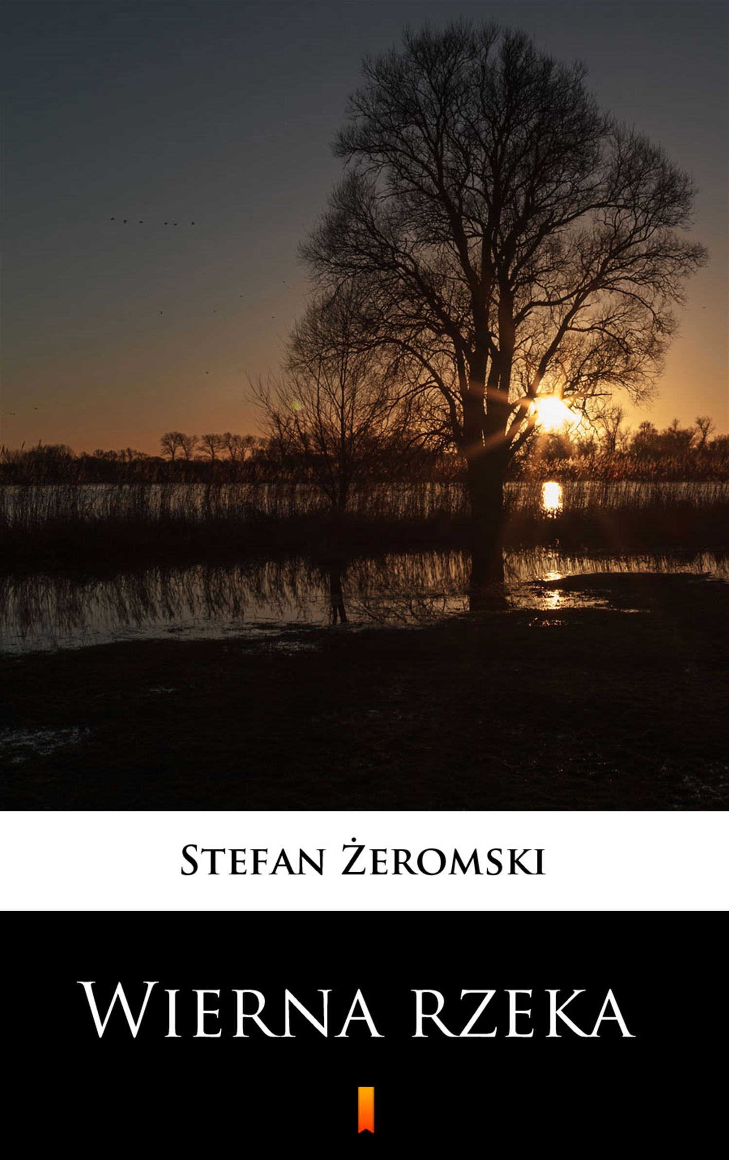 Wierna rzeka — okładka e-booka