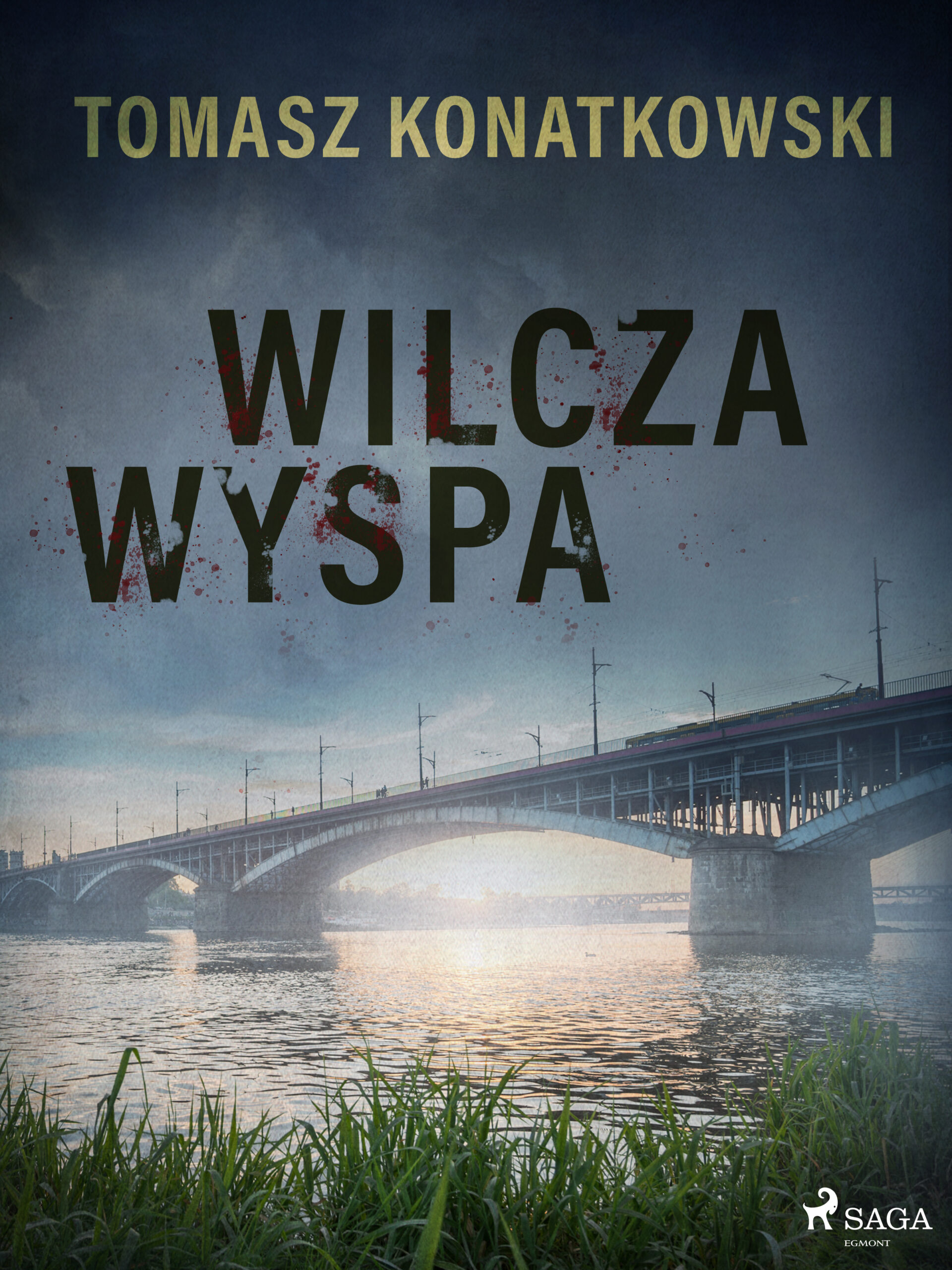 Wilcza wyspa — okładka e-booka