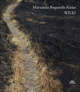 Wilki — okładka e-booka