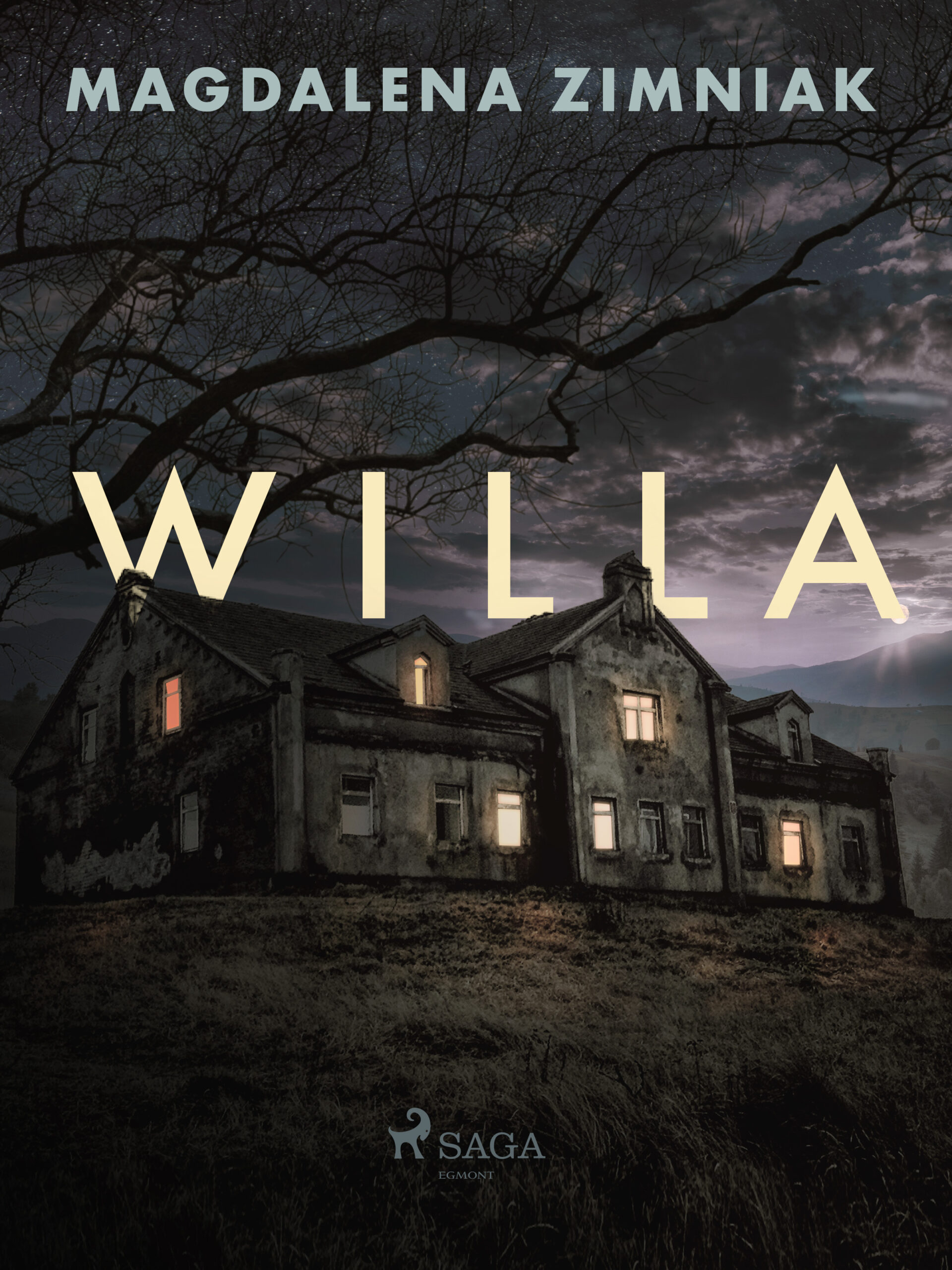 Tytuł: Willa
Autor: Magdalena Zimniak
Wydawnictwo: SAGA Egmont
Formaty: EPUB, MOBI