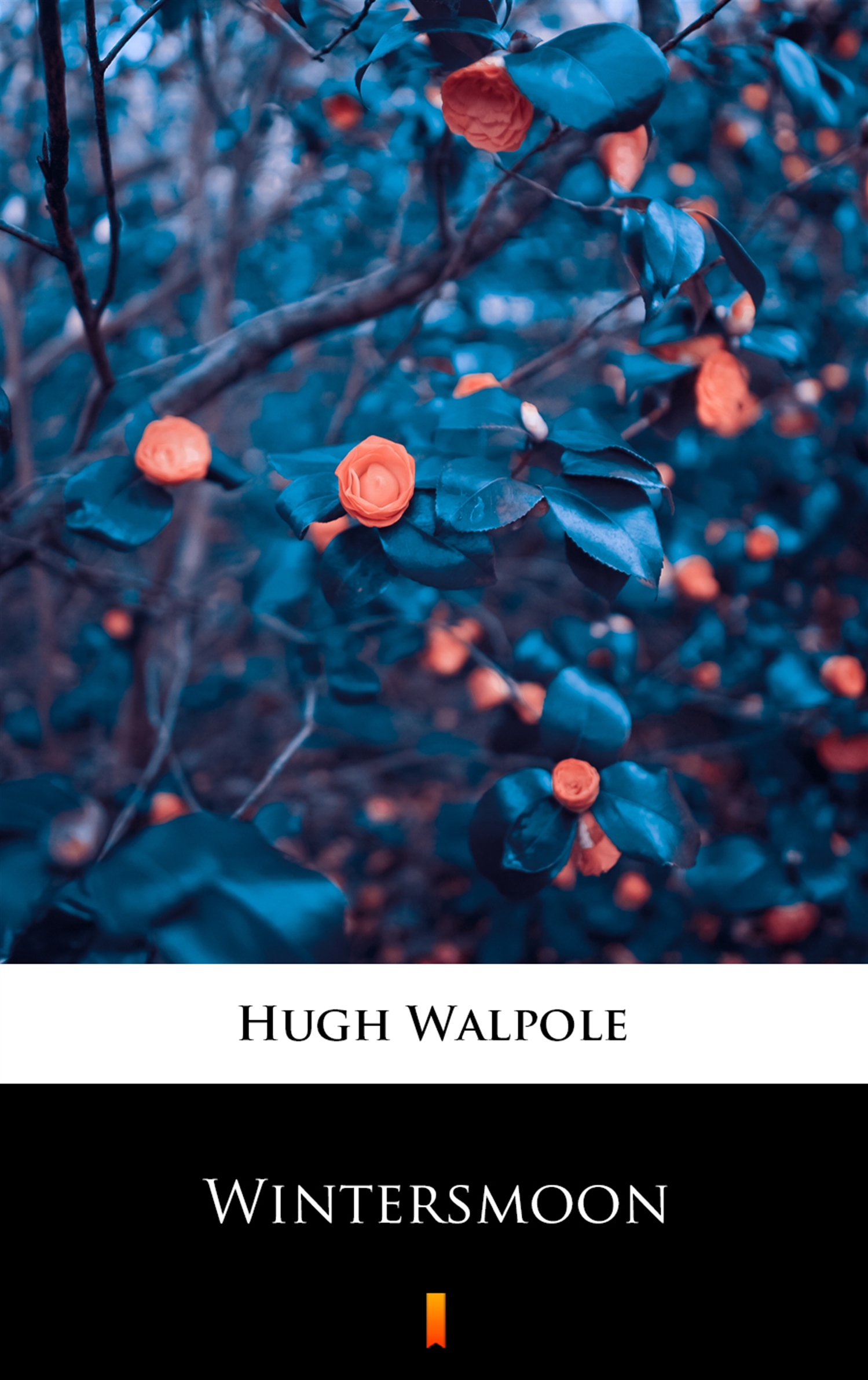 Tytuł: Wintersmoon
Autor: Hugh Walpole
Wydawnictwo: KtoCzyta.pl
Formaty: EPUB, MOBI