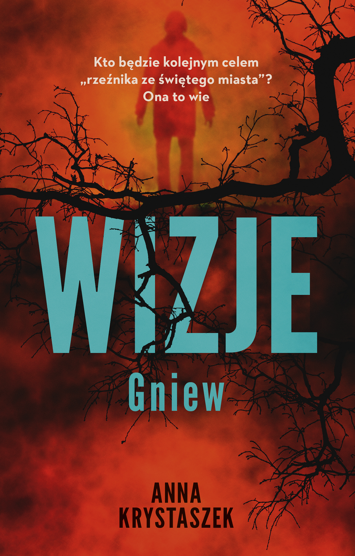 Tytuł: Wizje
Autor: Anna Krystaszek
Wydawnictwo: Muza
Formaty: EPUB, MOBI