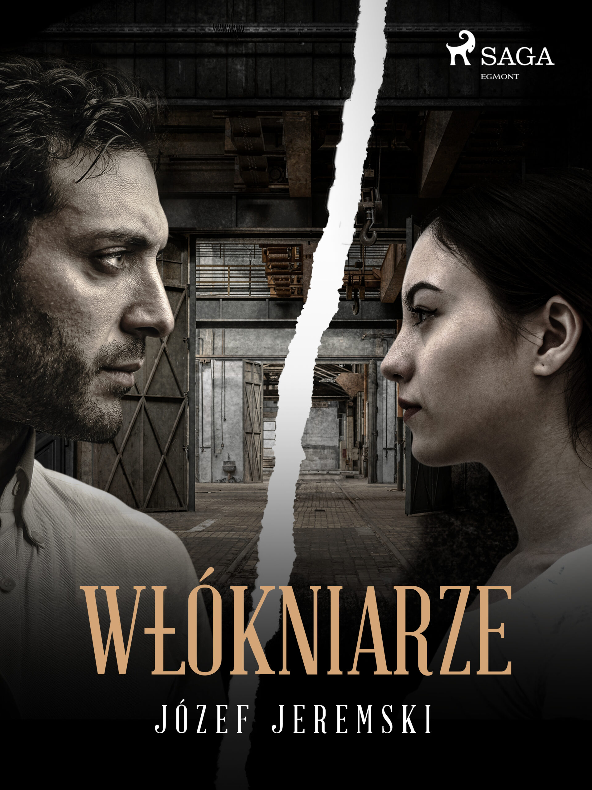 Tytuł: Włókniarze
Autor: Józef Jeremski
Wydawnictwo: SAGA Egmont
Formaty: EPUB, MOBI