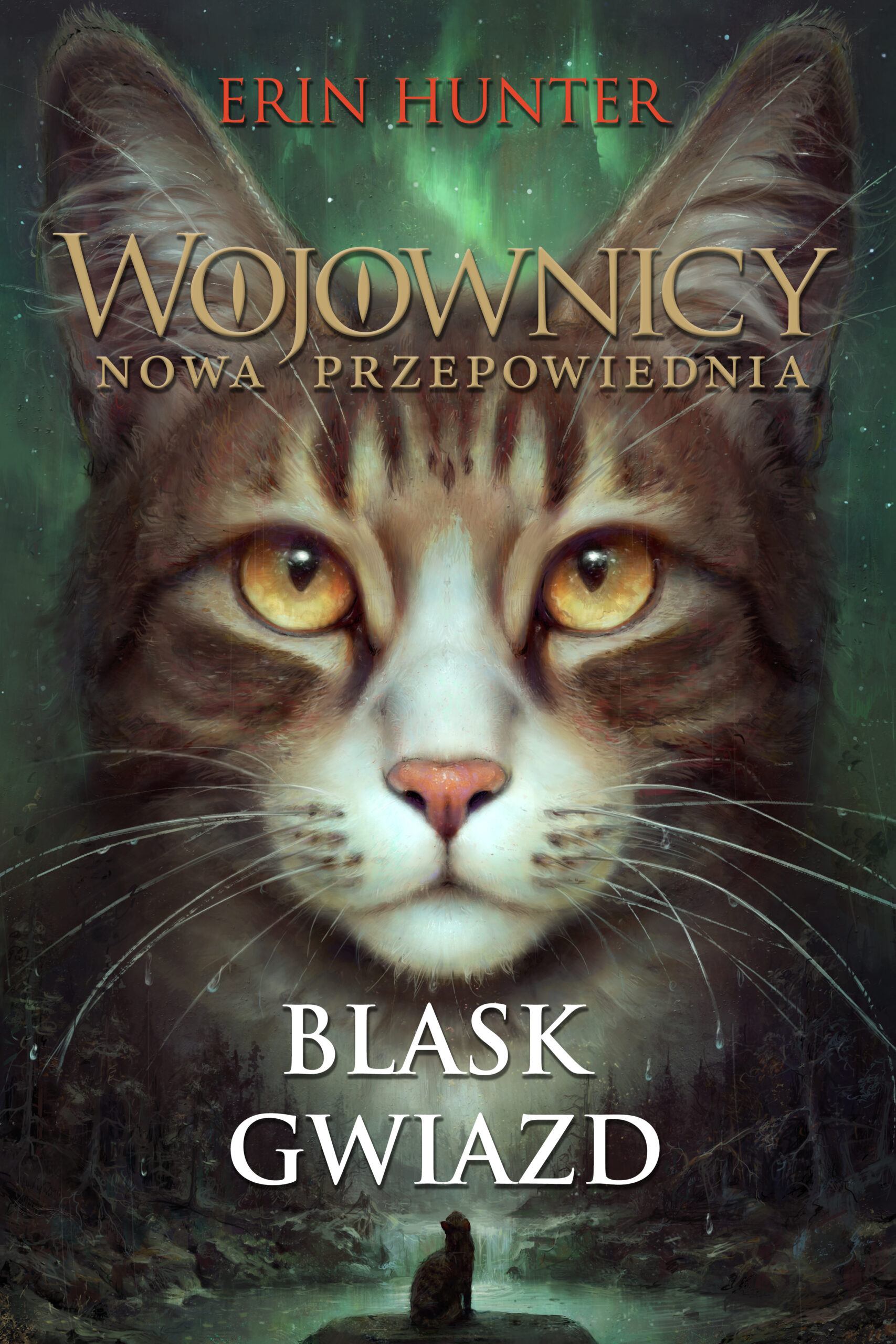Tytuł: Wojownicy (#10). Blask gwiazd
Autor: Erin Hunter
Wydawnictwo: Wydawnictwo Nowa Baśń
Formaty: EPUB, MOBI
