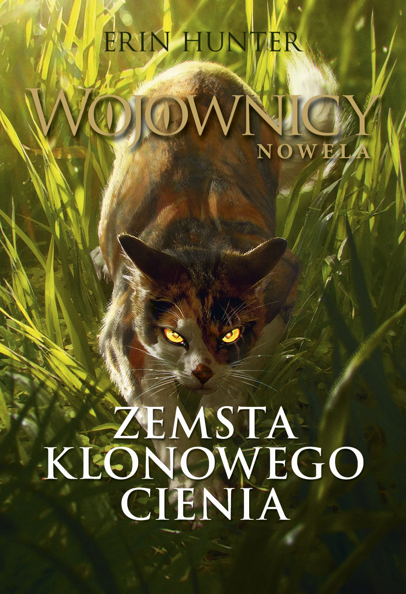 Tytuł: Wojownicy. Nowela (Tom 1). Zemsta Klonowego Cienia
Autor: Erin Hunter
Wydawnictwo: Wydawnictwo Nowa Baśń
Formaty: EPUB, MOBI