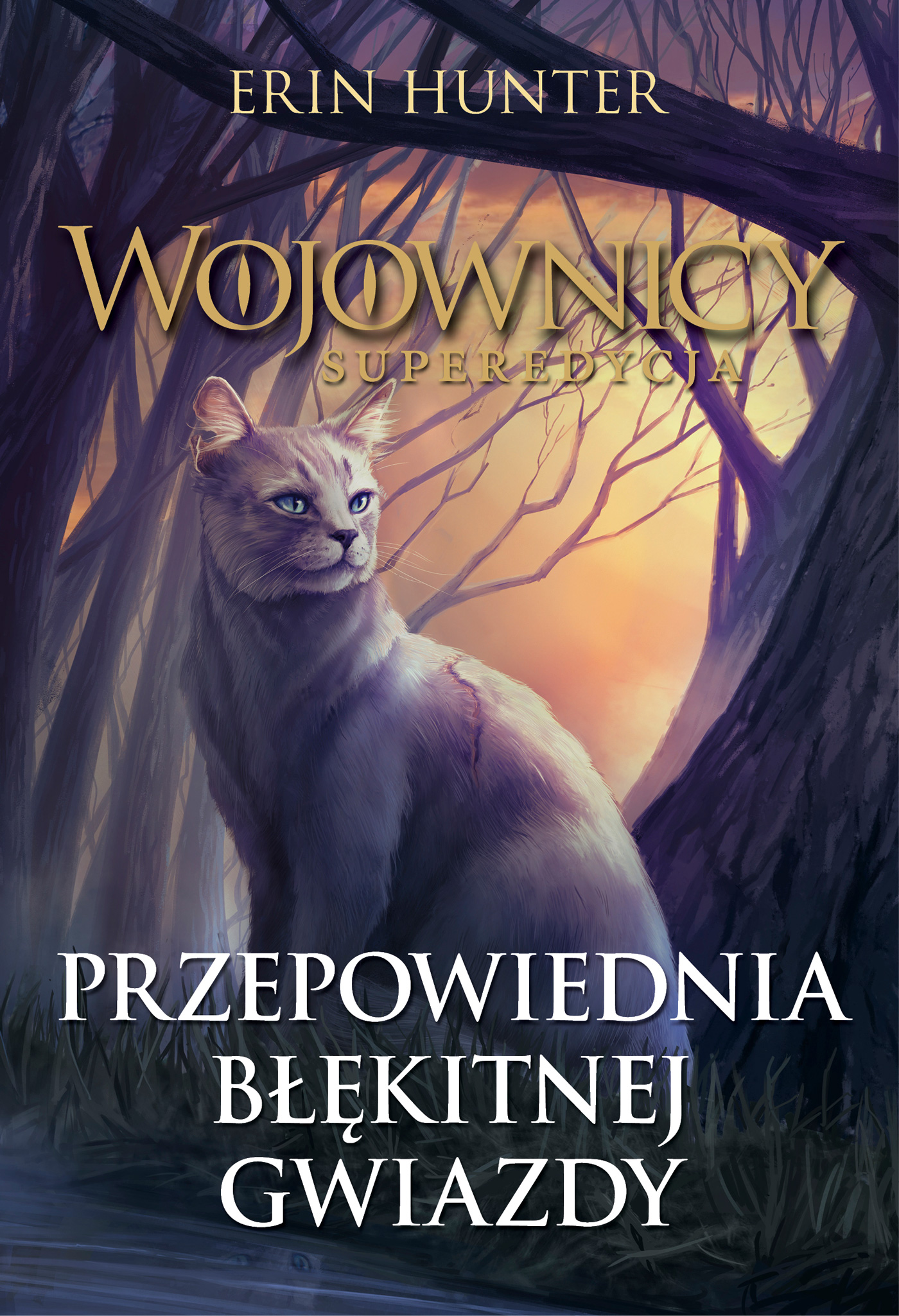 Tytuł: Wojownicy. Superedycja (Tom 2). Przepowiednia Błękitnej Gwiazdy
Autor: Erin Hunter
Wydawnictwo: Wydawnictwo Nowa Baśń
Formaty: EPUB, MOBI