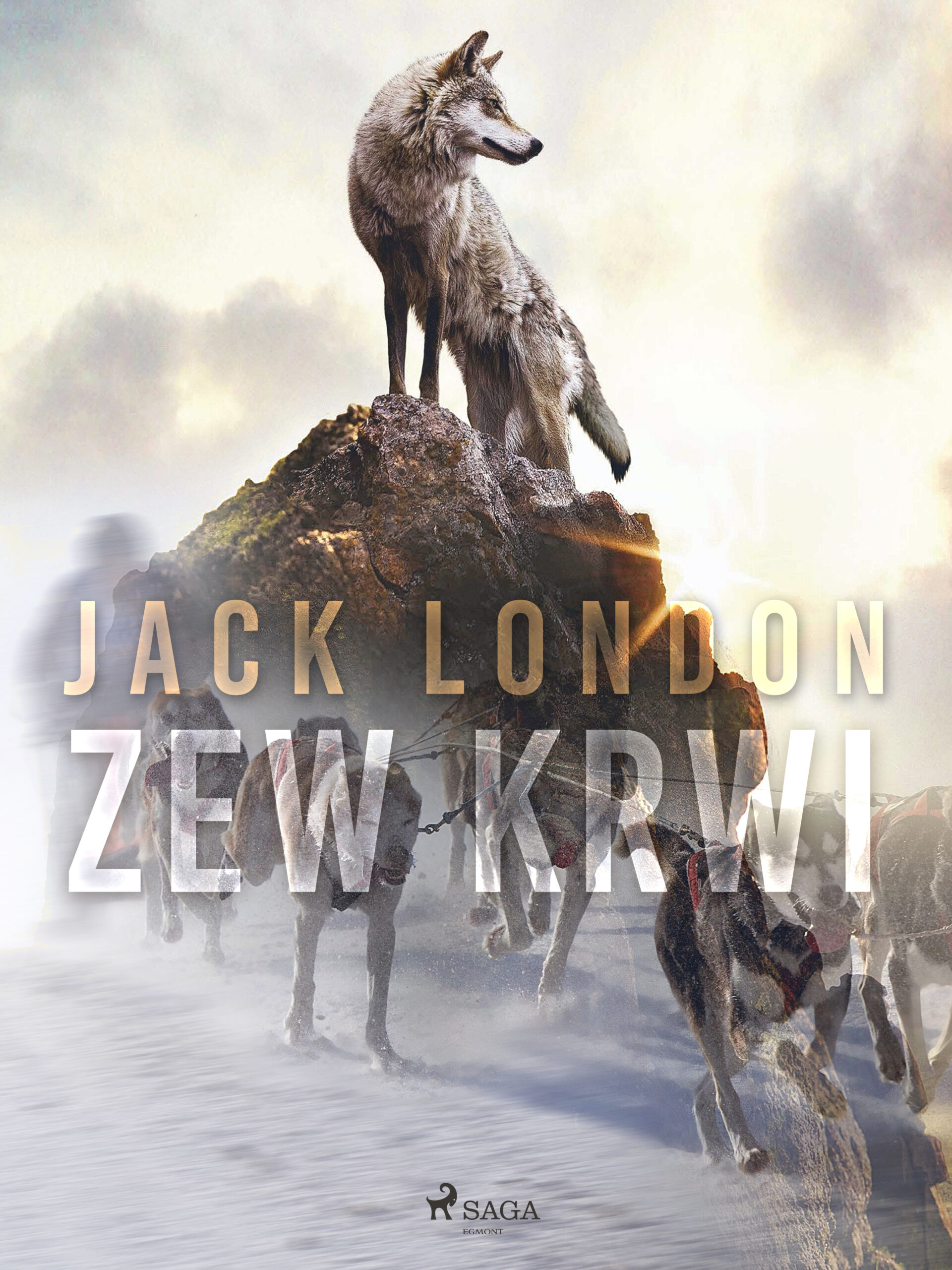 Tytuł: World Classics. Zew krwi
Autor: Jack London
Wydawnictwo: SAGA Egmont
Formaty: EPUB, MOBI