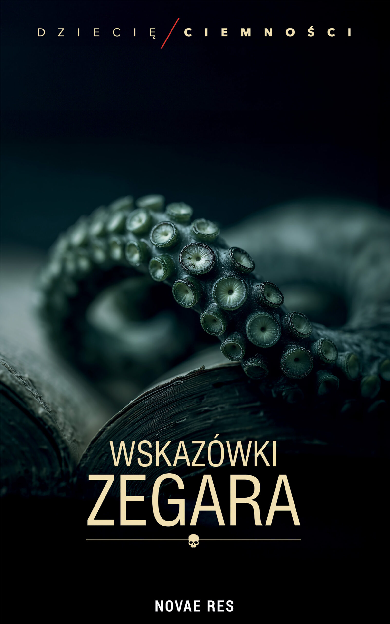 Wskazówki zegara — okładka e-booka