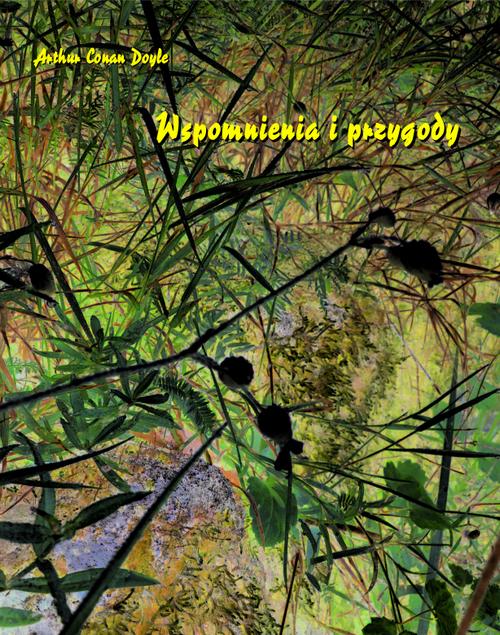 Tytuł: Wspomnienia i przygody
Autor: Arthur Conan Doyle
Wydawnictwo: Armoryka
Formaty: MOBI, EPUB