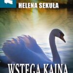 Wstęga Kaina — okładka e-booka