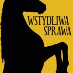 Wstydliwa sprawa — okładka e-booka
