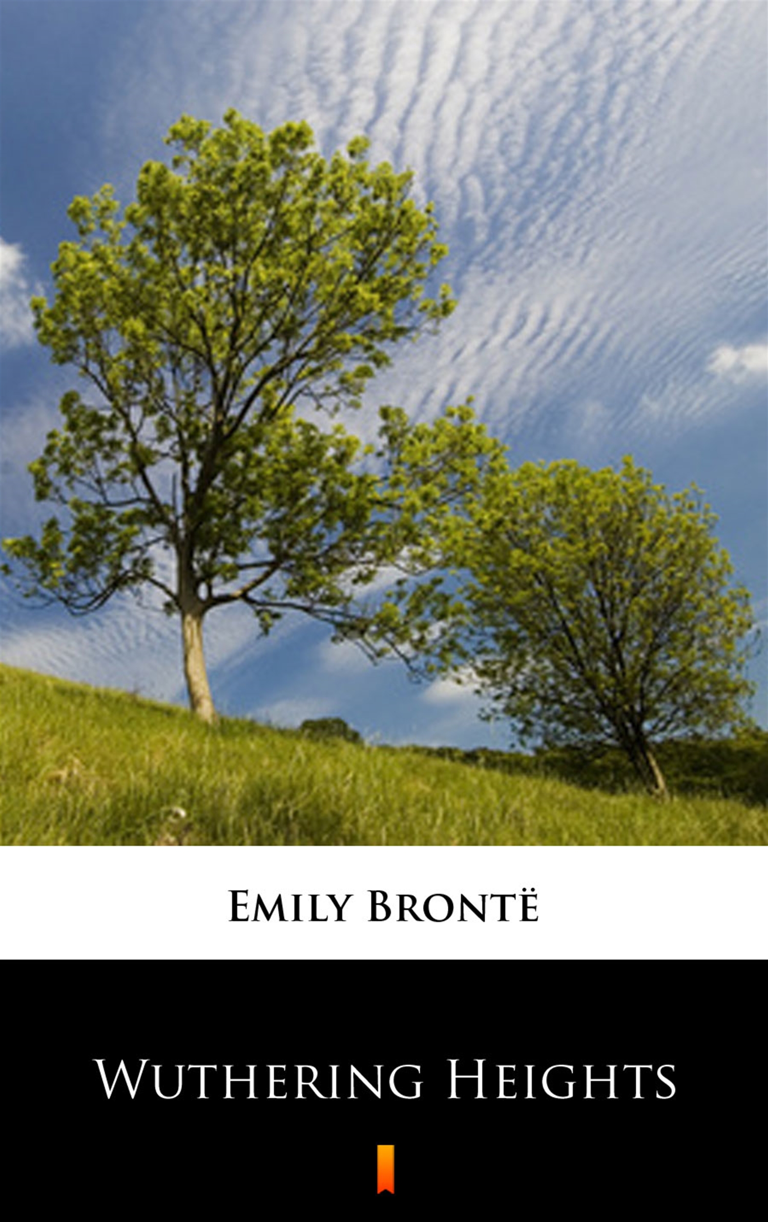 Tytuł: Wuthering Heights
Autor: Emily Brontë
Wydawnictwo: KtoCzyta.pl
Formaty: EPUB, MOBI