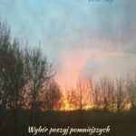 Tytuł: Wybór poezyj pomniejszych. Poezje wschodnie
Autor: Victor Hugo
Wydawnictwo: Armoryka
Formaty: EPUB, MOBI