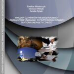 Tytuł: WYCENA CZYNNIKÓW NIEMATERIALNYCH I ZARZĄDZANIE ZMIANAMI W PRZEDSIĘBIORSTWACH SEKTORA ENERGETYCZNEGO
Autor: Ewelina Włodarczyk, Ireneusz Miciuła, Aurelia Rybak
Wydawnictwo: Sophia
Formaty: PDF