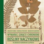 Tytuł: Wymarłe, ginące i chronione rośliny naczyniowe w zbiorach Herbarium Slupensis w latach 1875-1943
Autor: Zbigniew Sobisz, Mariola Truchan, Zbigniew Osadowski
Wydawnictwo: Uniwersytet Pomorski w Słupsku
Formaty: PDF