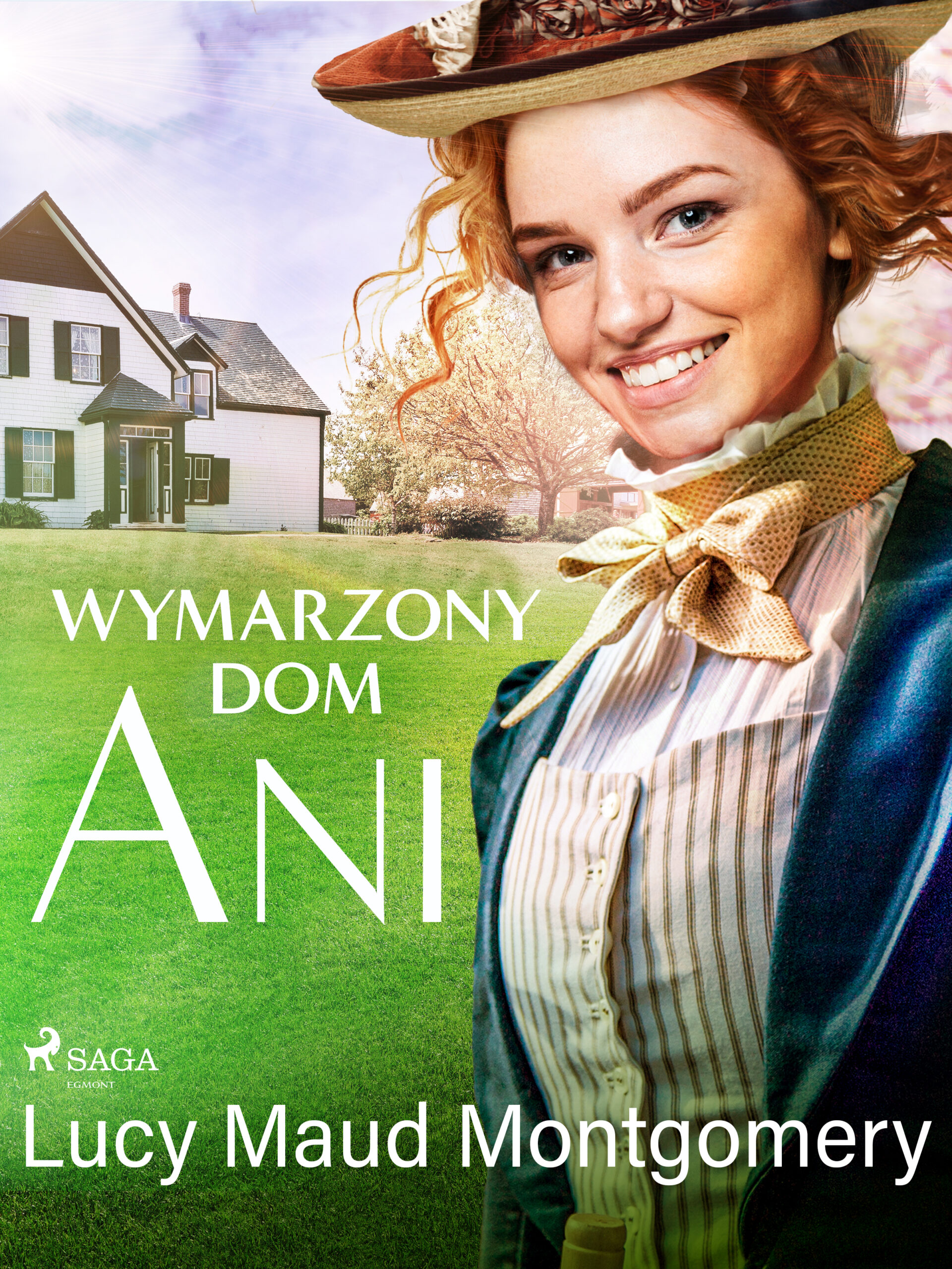 Wymarzony dom Ani — okładka e-booka