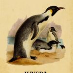 Tytuł: Wyspa Pingwinów
Autor: Anatol France
Wydawnictwo: Estymator
Formaty: EPUB, PDF, MOBI