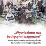 Tytuł: „Wywieziono nas bydlęcymi wagonami” . Relacje deportowanych z Górnego Śląska do Związku Sowieckiego w 1945 roku
Autor: 
Wydawnictwo: Instytut Pamięci Narodowej
Formaty: MOBI, EPUB