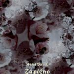 Tytuł: Za późno. Nowela
Autor: Michał Bałucki
Wydawnictwo: Armoryka
Formaty: MOBI, EPUB