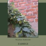 Tytuł: Zabiegi Dymitra Samozwańca o koronę polską
Autor: Wacław Sobieski
Wydawnictwo: Armoryka
Formaty: PDF