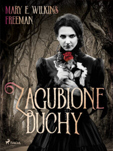 Zagubione duchy — okładka e-booka