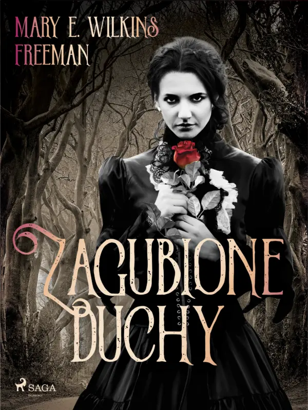 Zagubione duchy — okładka