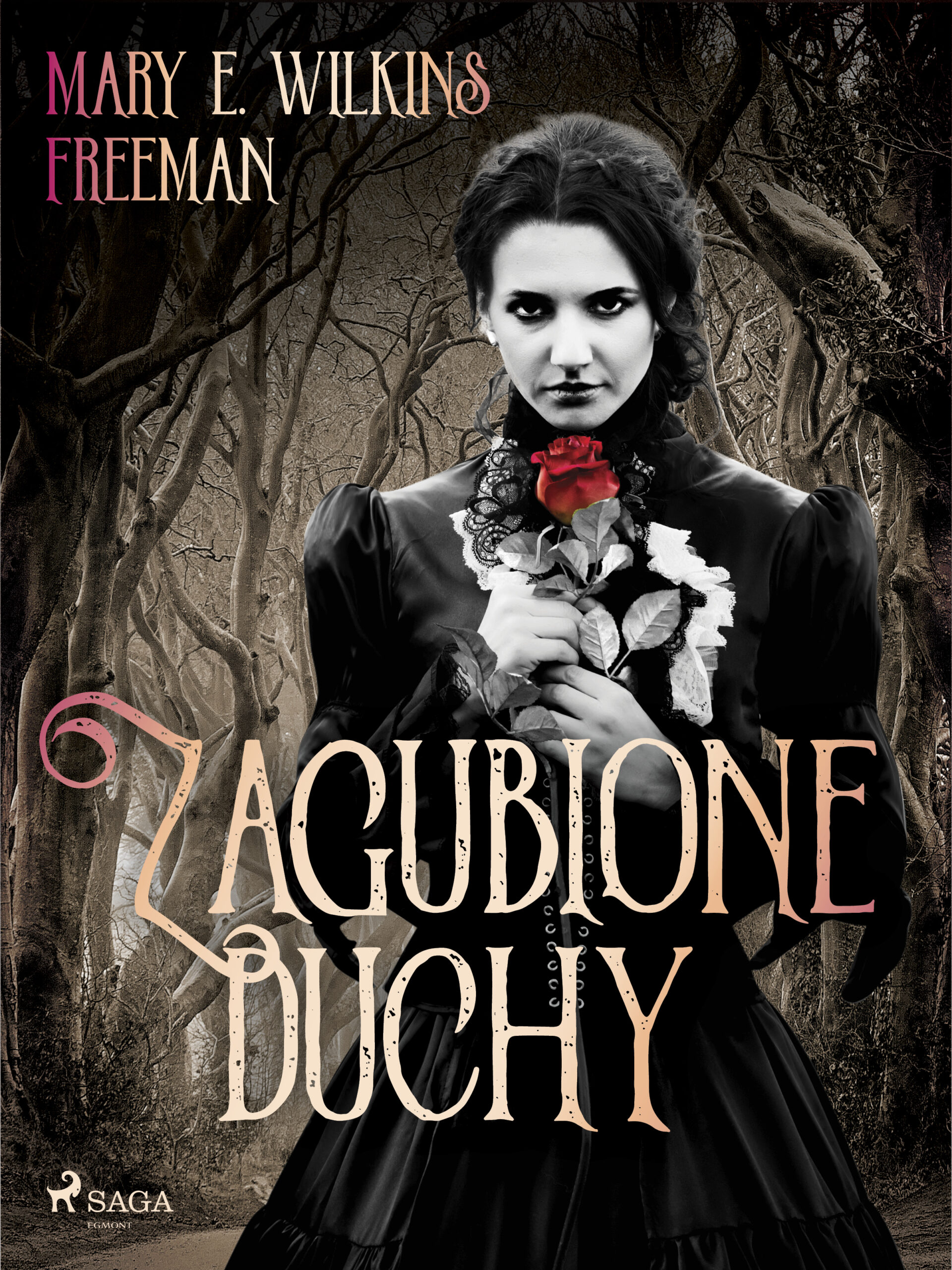 Tytuł: Zagubione duchy
Autor: Mary E. Wilkins Freeman
Wydawnictwo: SAGA Egmont
Formaty: EPUB, MOBI