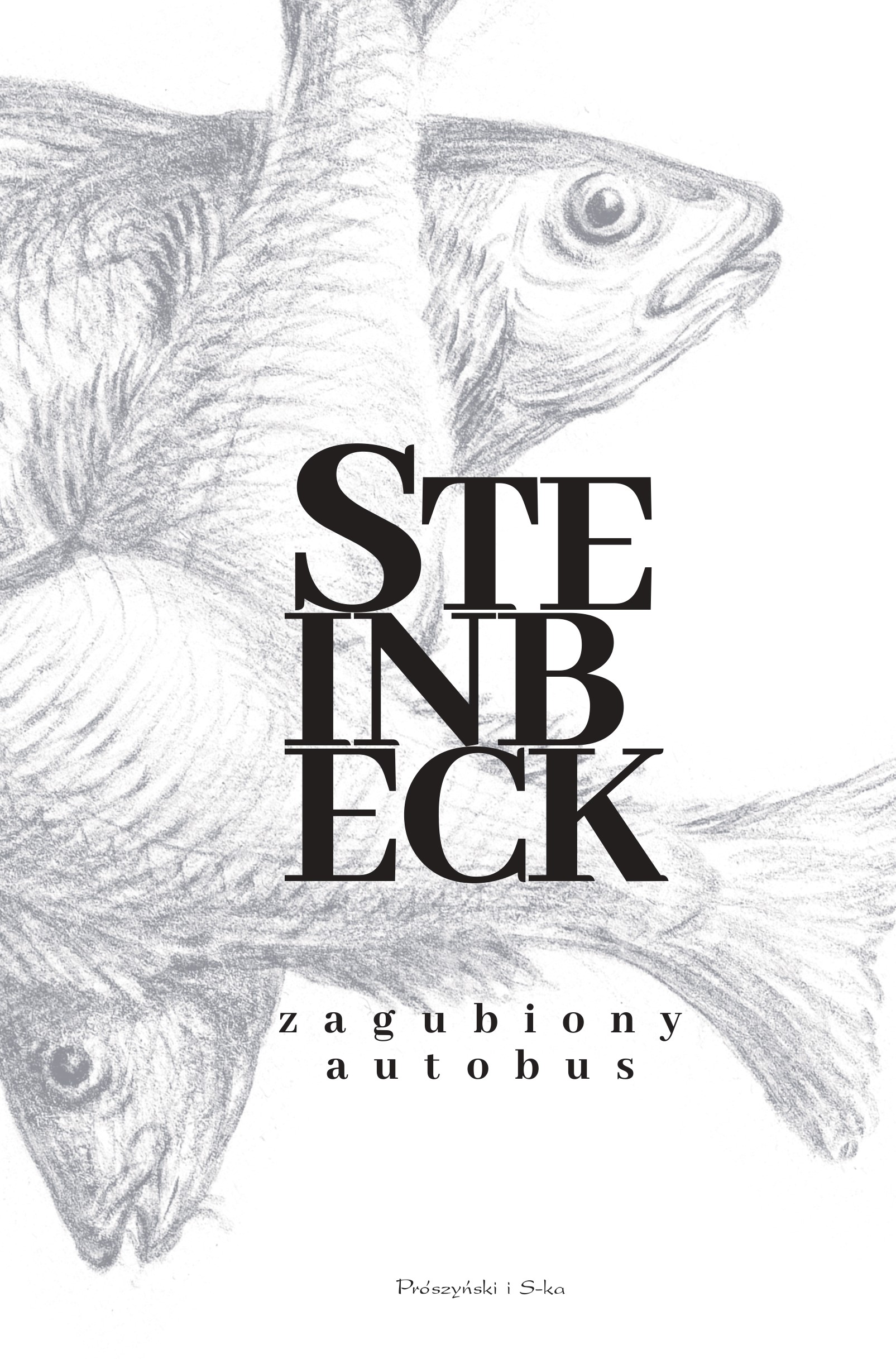 Zagubiony autobus — okładka e-booka