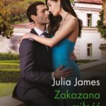 Zakazana miłość — okładka e-booka