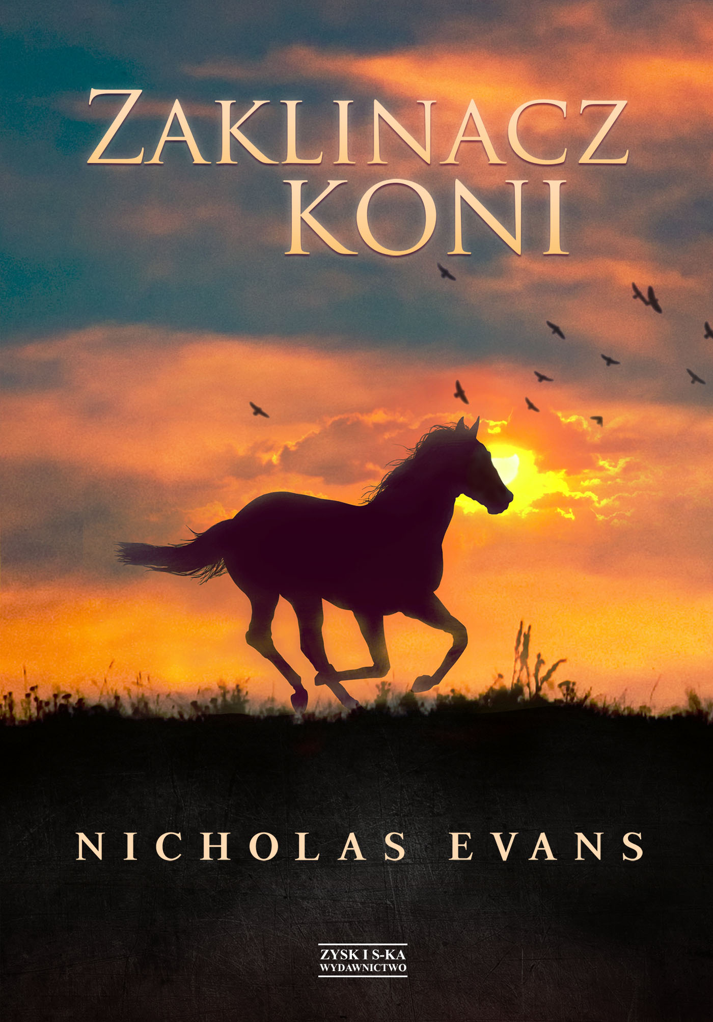 Tytuł: Zaklinacz koni
Autor: Nicholas Evans
Wydawnictwo: Zysk i S-ka
Formaty: EPUB, MOBI