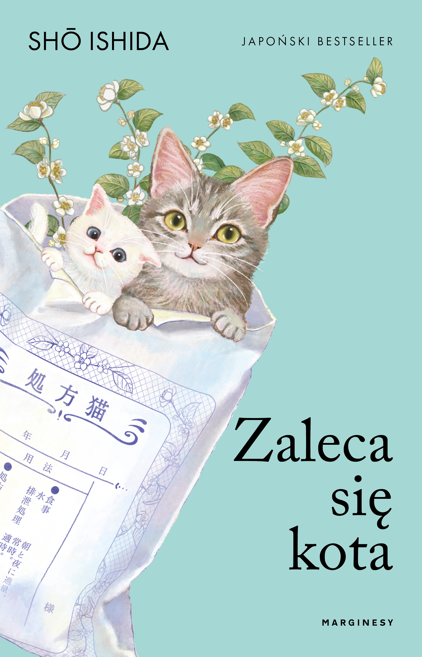 Zaleca się kota — okładka