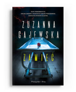 Zamieć — okładka e-booka