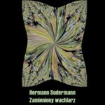 Zamieniony wachlarz — okładka e-booka