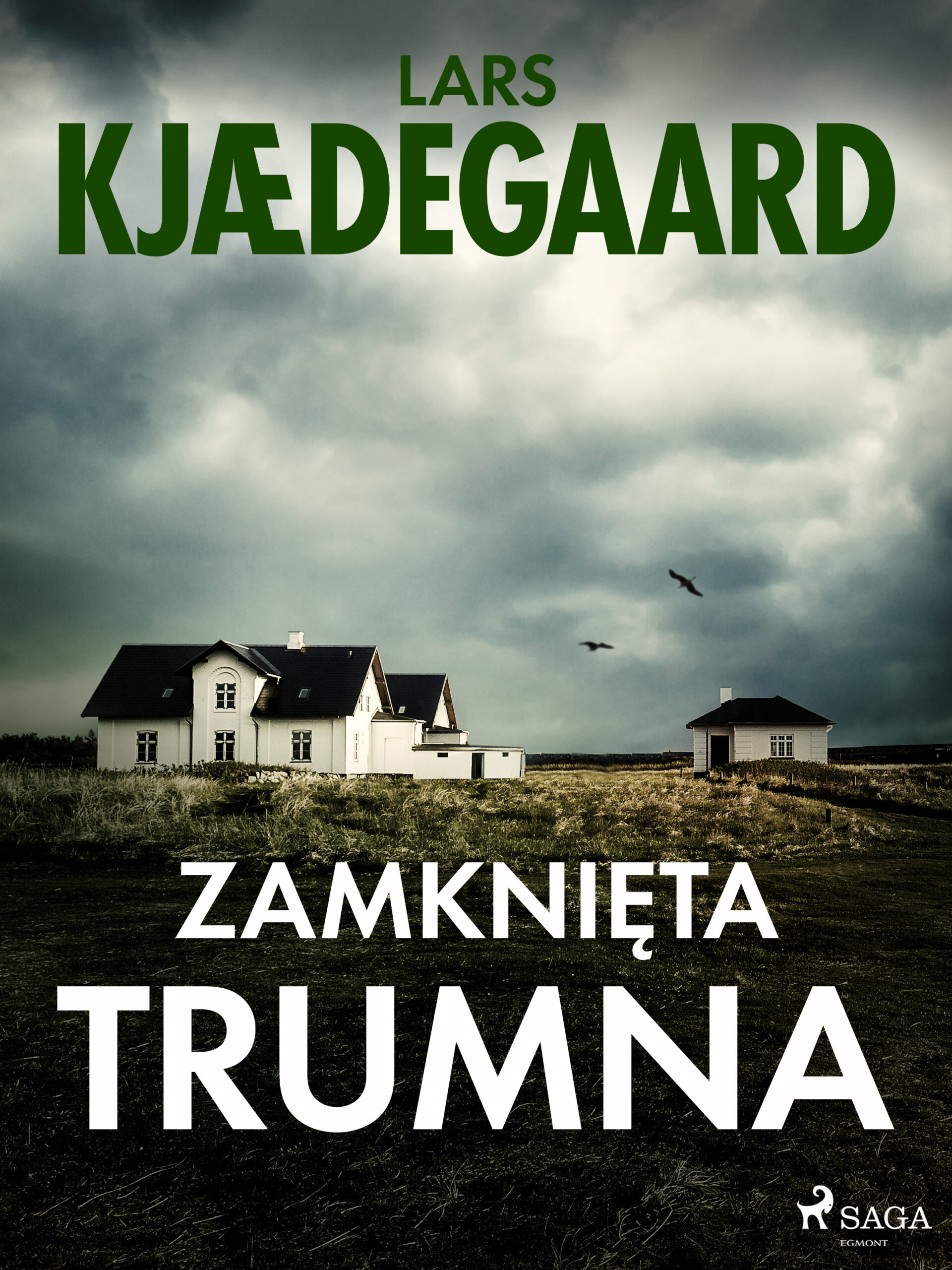 Tytuł: Zamknięta trumna
Autor: Lars Kjædegaard
Wydawnictwo: SAGA Egmont
Formaty: EPUB, MOBI