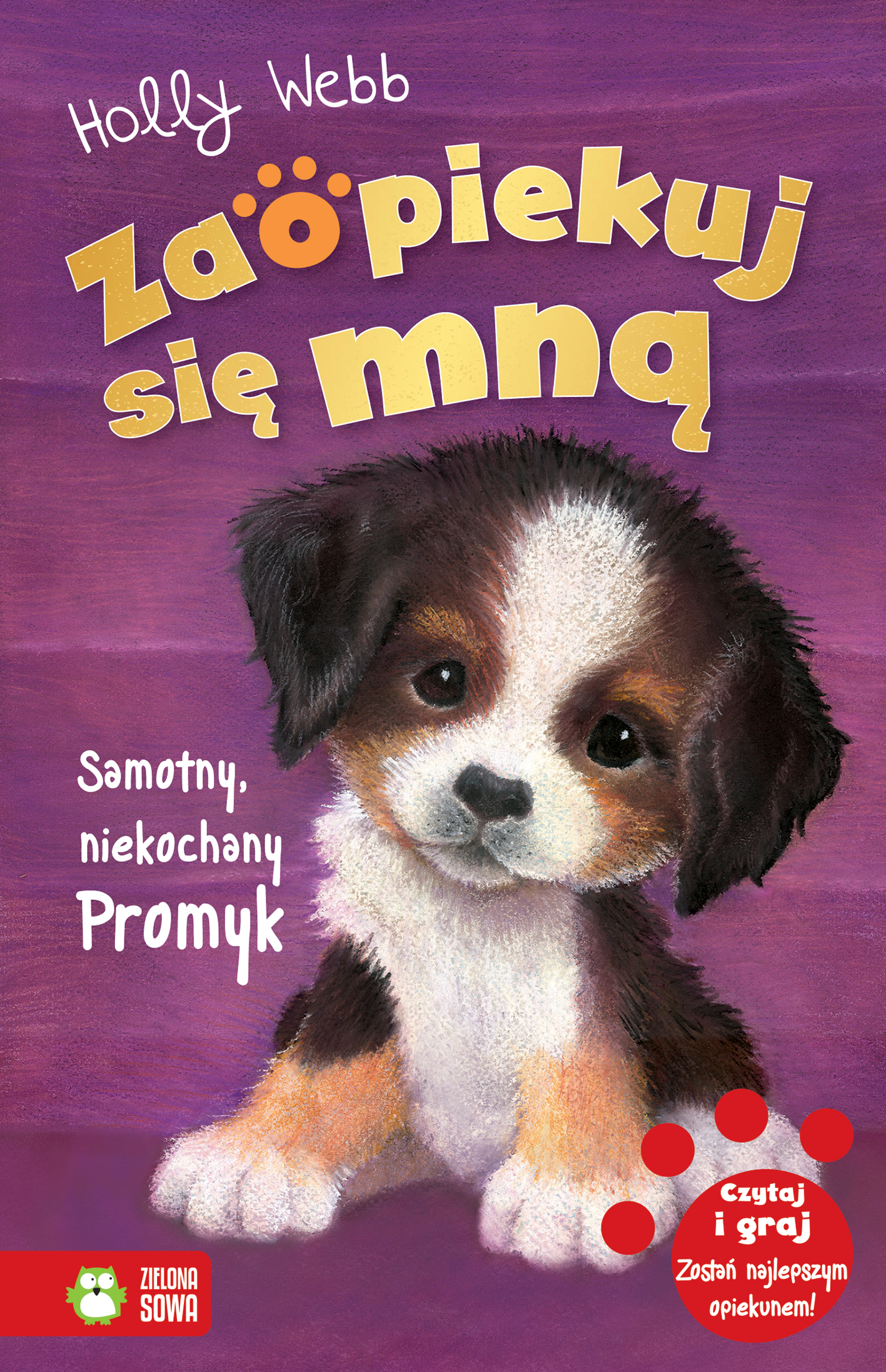 Tytuł: Zaopiekuj się mną. Zaopiekuj się mną. Samotny, niekochany Promyk
Autor: Holly Webb
Wydawnictwo: Zielona Sowa
Formaty: EPUB, MOBI