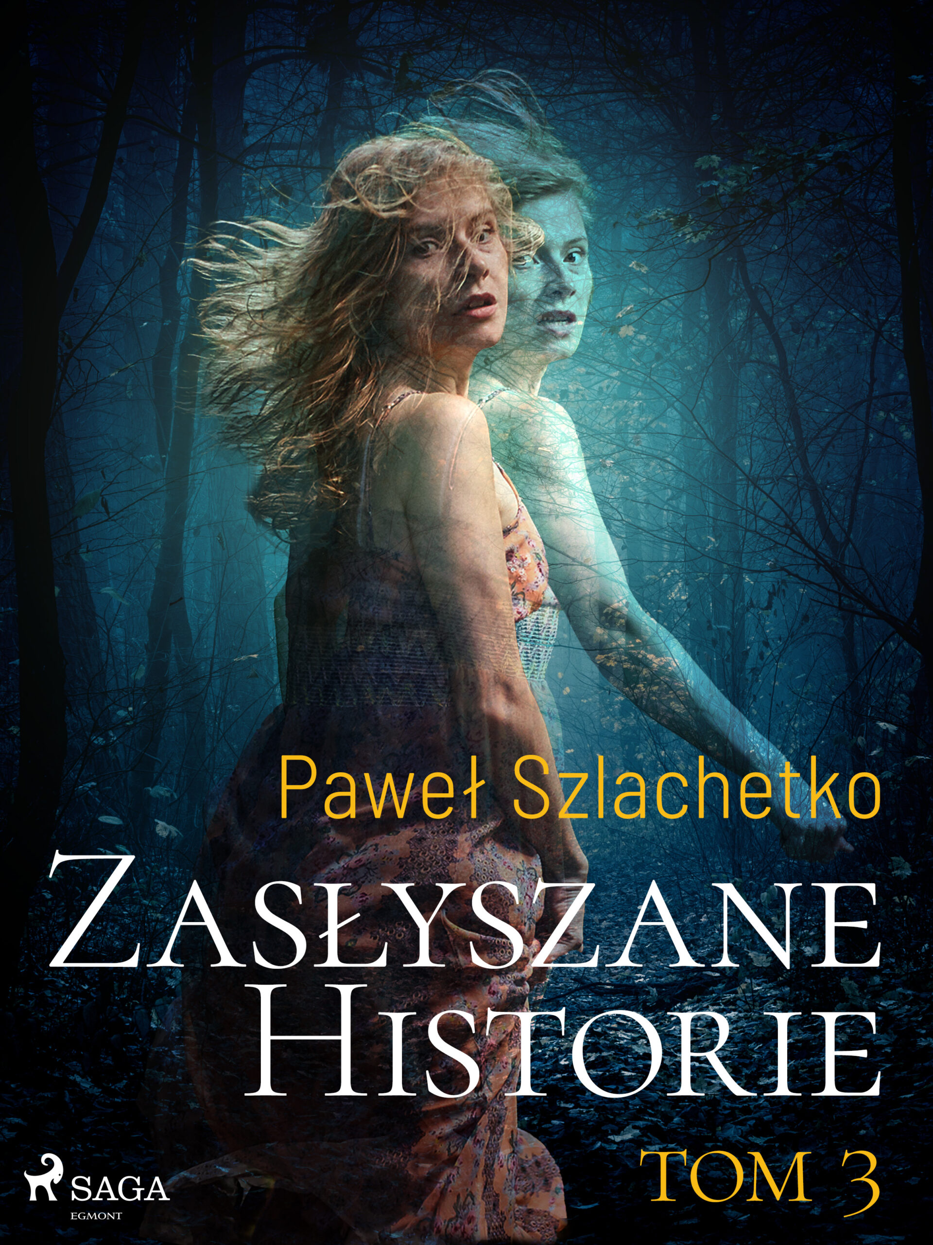 Tytuł: Zasłyszane historie. Tom 3
Autor: Paweł Szlachetko
Wydawnictwo: SAGA Egmont
Formaty: EPUB, MOBI