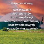 Tytuł: Zastosowanie biopreparatów do intensyfikacji kofermentacji metanowej osadów ściekowych i odpadów tłuszczowych
Autor: Małgorzata Worwąg
Wydawnictwo: Politechnika Częstochowska
Formaty: PDF