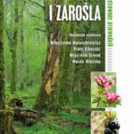 Tytuł: Zbiorowiska roślinne Polski. Lasy i zarośla
Autor: 
Wydawnictwo: Wydawnictwo Naukowe PWN
Formaty: EPUB, MOBI