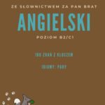 Tytuł: Ze słownictwem za pan brat: Idiomy - pary.
Autor: Joanna Tomczuk
Wydawnictwo: Language Corner
Formaty: PDF