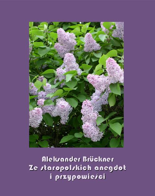 Tytuł: Ze staropolskich anegdot i przypowieści
Autor: Aleksander Brückner
Wydawnictwo: Armoryka
Formaty: EPUB, MOBI
