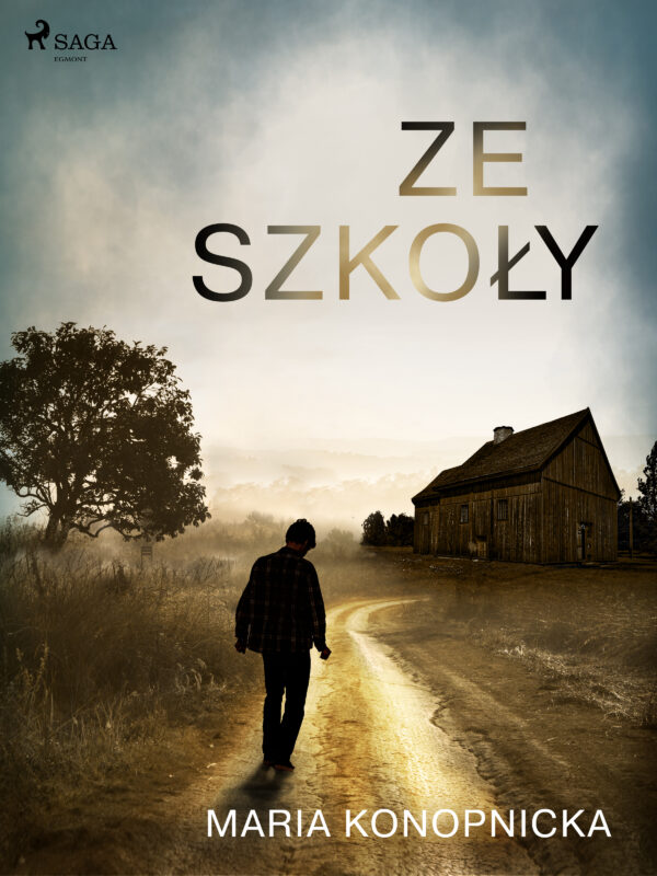 Ze szkoły — okładka e-booka