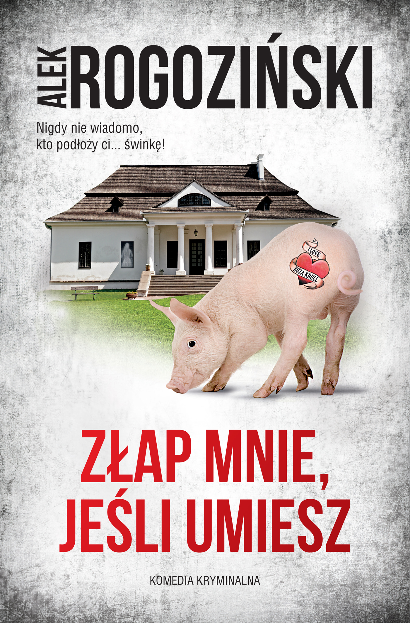 Tytuł: Złap mnie, jeśli umiesz
Autor: Alek Rogoziński
Wydawnictwo: Skarpa Warszawska
Formaty: EPUB, MOBI