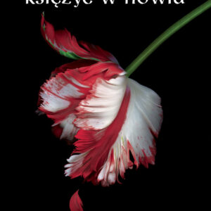 Tytuł: ZMIERZCH (Tom 2). Księżyc w nowiu
Autor: Stephenie Meyer
Wydawnictwo: Wydawnictwo Dolnośląskie
Formaty: EPUB, MOBI