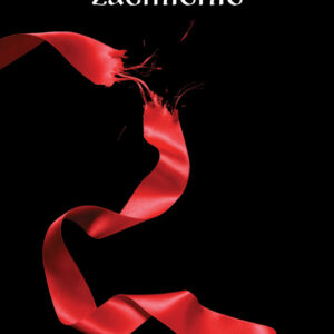 Tytuł: ZMIERZCH (Tom 3). Zaćmienie
Autor: Stephenie Meyer
Wydawnictwo: Wydawnictwo Dolnośląskie
Formaty: EPUB, MOBI