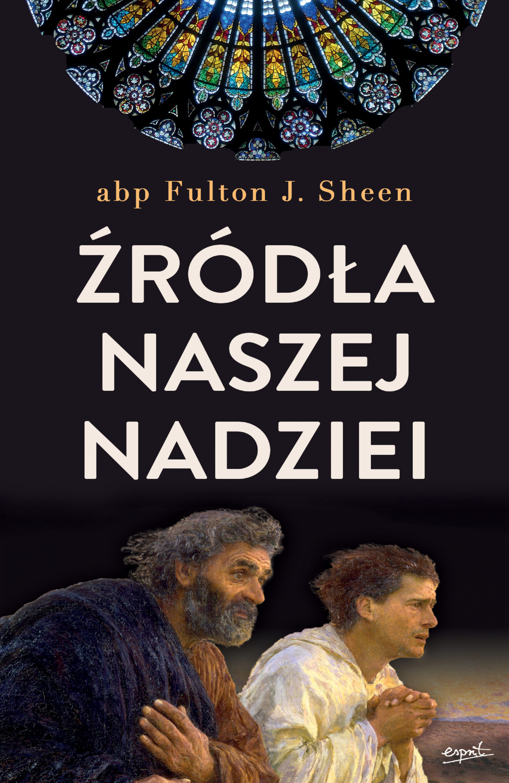Tytuł: Źródła naszej nadziei
Autor: abp Fulton J. Sheen
Wydawnictwo: Esprit
Formaty: EPUB, MOBI