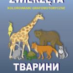 Zwierzęta. Kolorowanki grafomotoryczne. Тварини. Графомоторні розмальовки — okładka e-booka