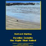 Zwodne światło. The Light That Failed — okładka e-booka