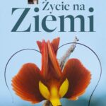 Tytuł: Życie na Ziemi
Autor: David Attenborough
Wydawnictwo: Wydawnictwo Naukowe PWN
Formaty: EPUB, MOBI