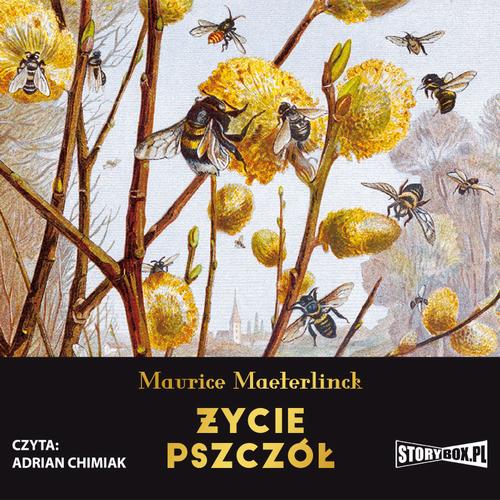 Tytuł: Życie pszczół
Autor: Maurice Maeterlinck
Wydawnictwo: Storybox
Formaty: MP3