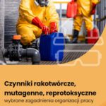 Czynniki rakotwórcze, mutagenne, reprotoksyczne – wybrane zagadnienia organizacji pracy — okładka e-booka